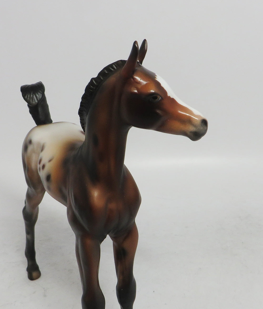 MITTENS - OOAK BAY APPALOOSA CUSTOM ARAB  FOAL BY JULIE KEIM WHS 2018