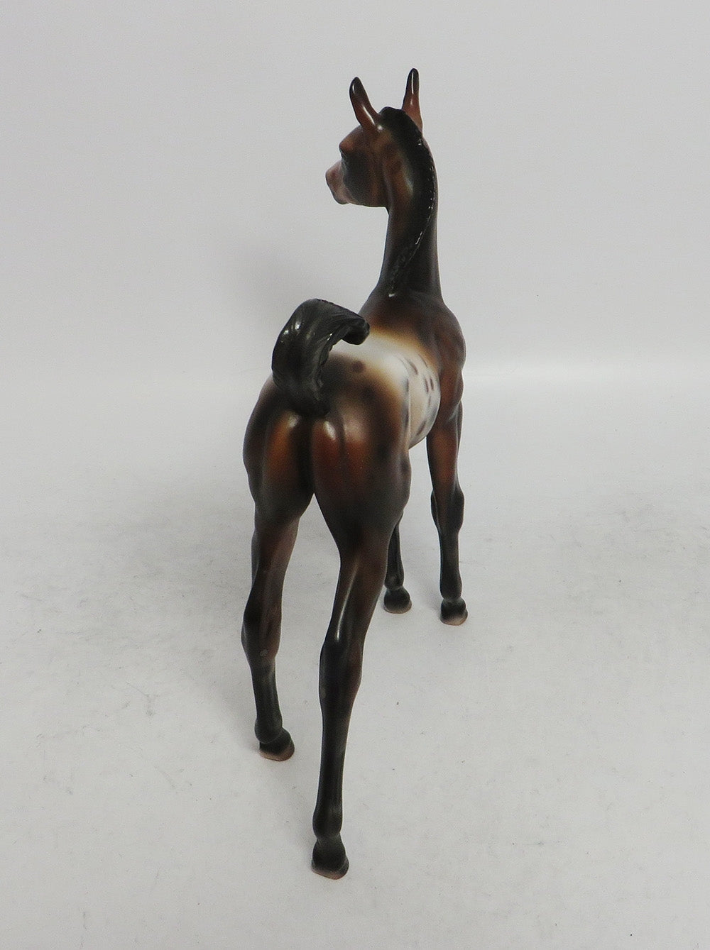 MITTENS - OOAK BAY APPALOOSA CUSTOM ARAB  FOAL BY JULIE KEIM WHS 2018