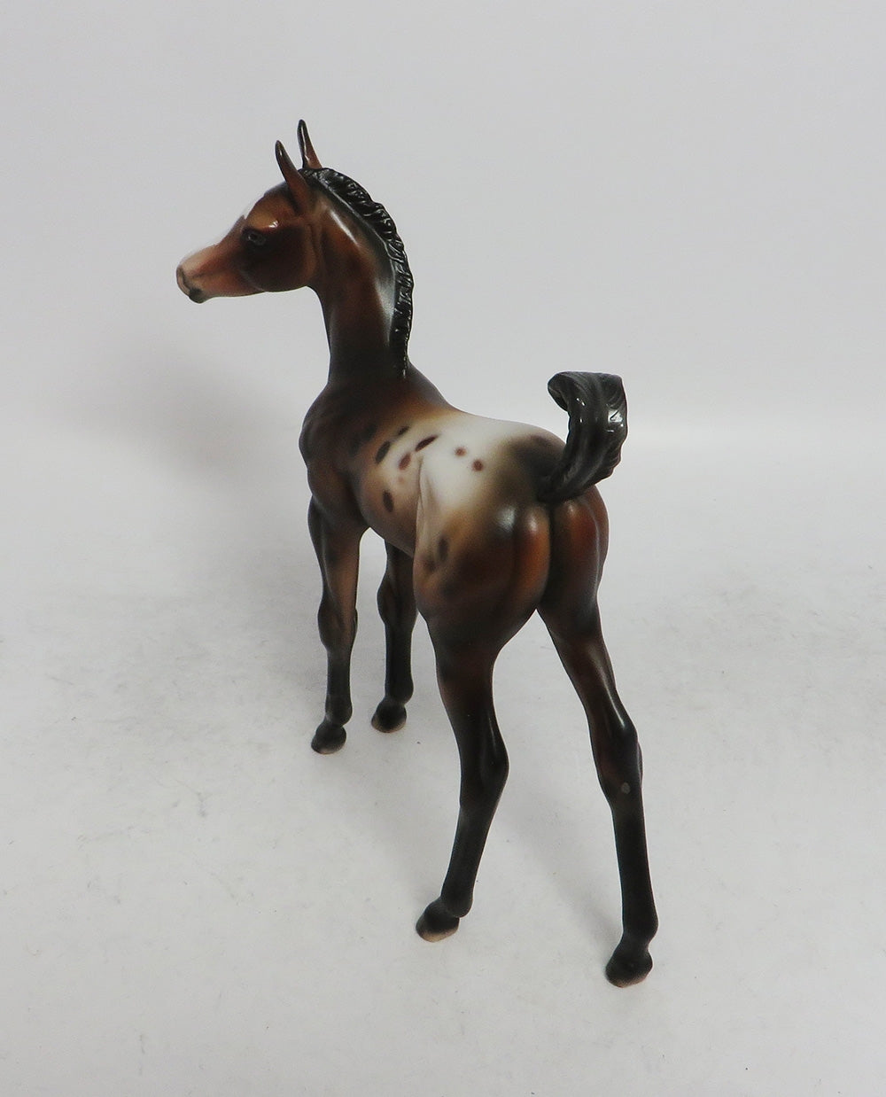 MITTENS - OOAK BAY APPALOOSA CUSTOM ARAB  FOAL BY JULIE KEIM WHS 2018