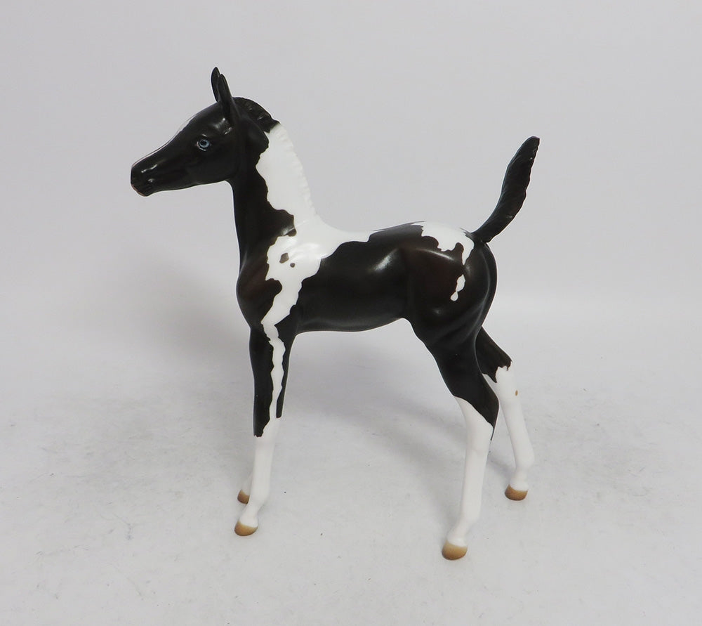 CUPID- OOAK BLACK TOBIANO BLUES EYES BY JULIE KEIM WHS 2018