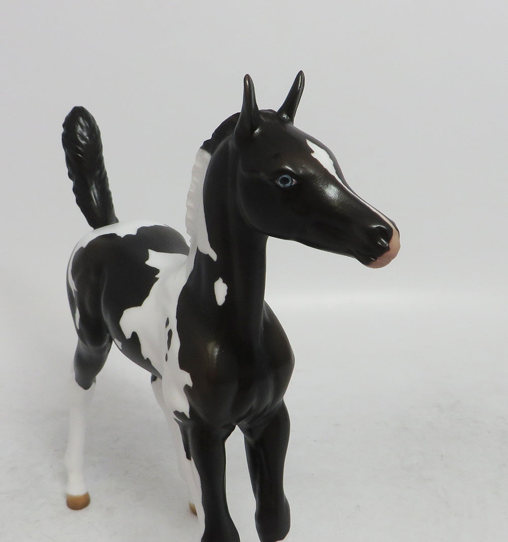 CUPID- OOAK BLACK TOBIANO BLUES EYES BY JULIE KEIM WHS 2018