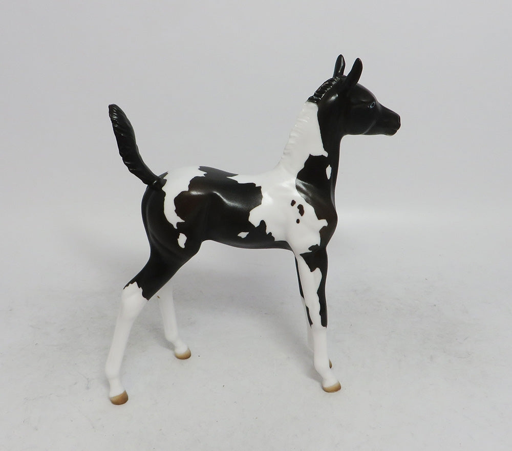 CUPID- OOAK BLACK TOBIANO BLUES EYES BY JULIE KEIM WHS 2018