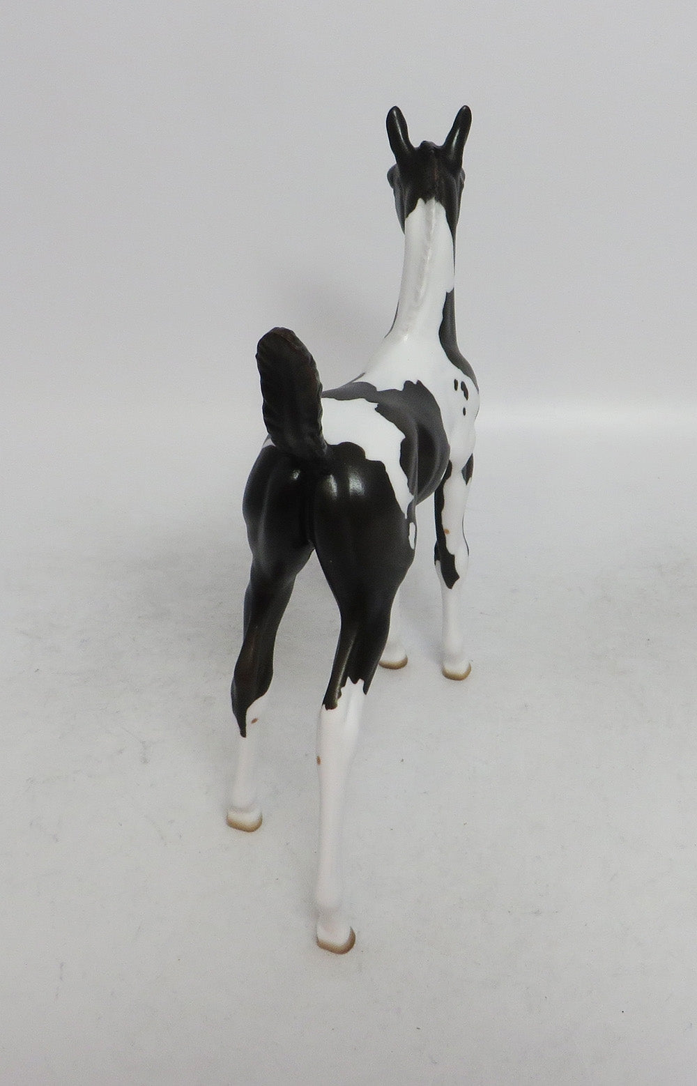 CUPID- OOAK BLACK TOBIANO BLUES EYES BY JULIE KEIM WHS 2018