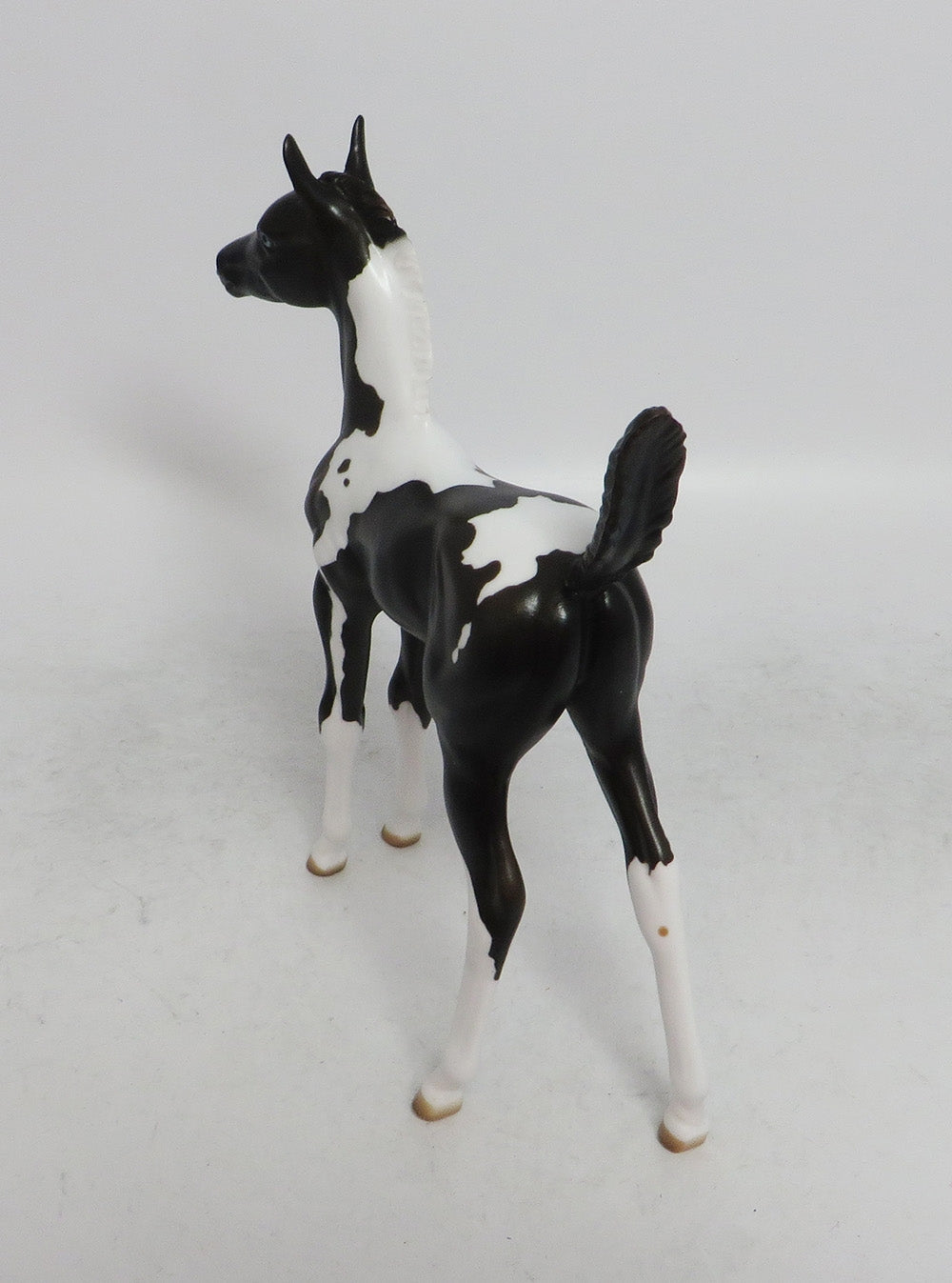 CUPID- OOAK BLACK TOBIANO BLUES EYES BY JULIE KEIM WHS 2018