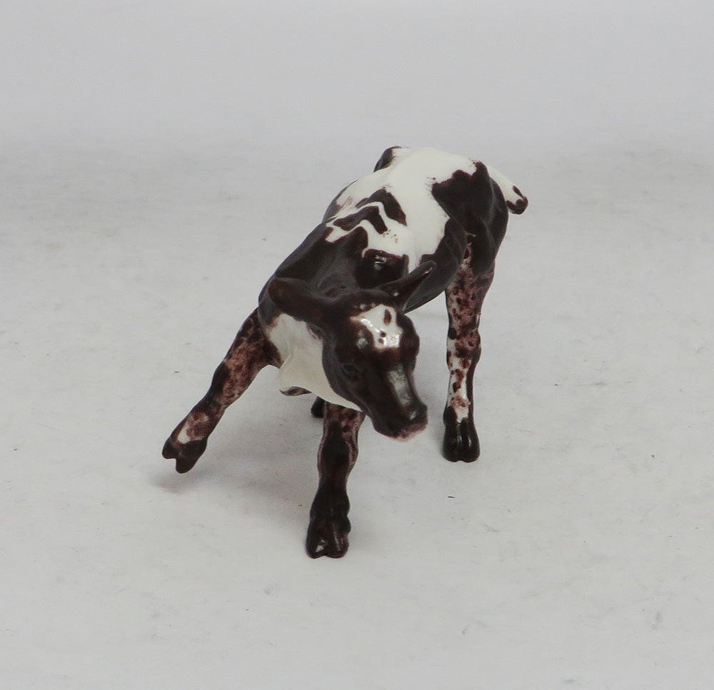 REB- OOAK RED BROWN CALF BY ANDREA WHS 2018