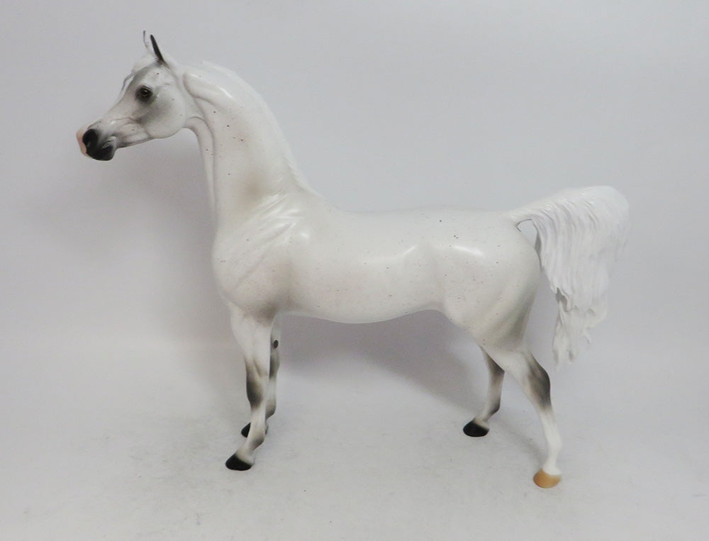 SNOW QUEEN- LE-8 FLEA BITTEN GREY  BY AUDREY DIXON WHS 2018