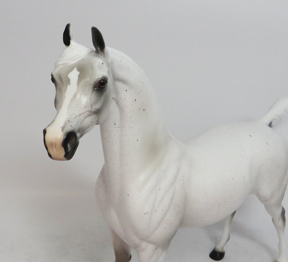 SNOW QUEEN- LE-8 FLEA BITTEN GREY  BY AUDREY DIXON WHS 2018