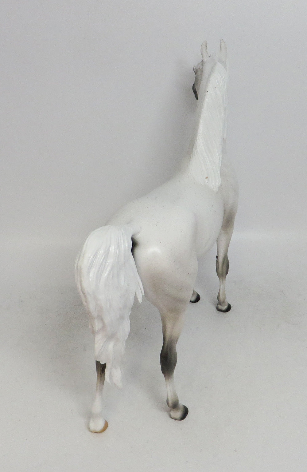 SNOW QUEEN- LE-8 FLEA BITTEN GREY  BY AUDREY DIXON WHS 2018