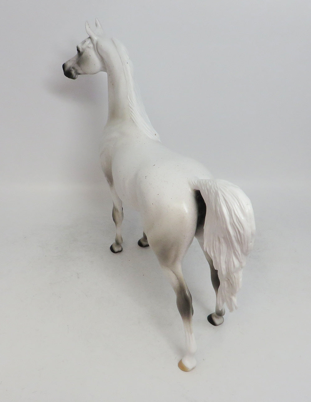 SNOW QUEEN- LE-8 FLEA BITTEN GREY  BY AUDREY DIXON WHS 2018