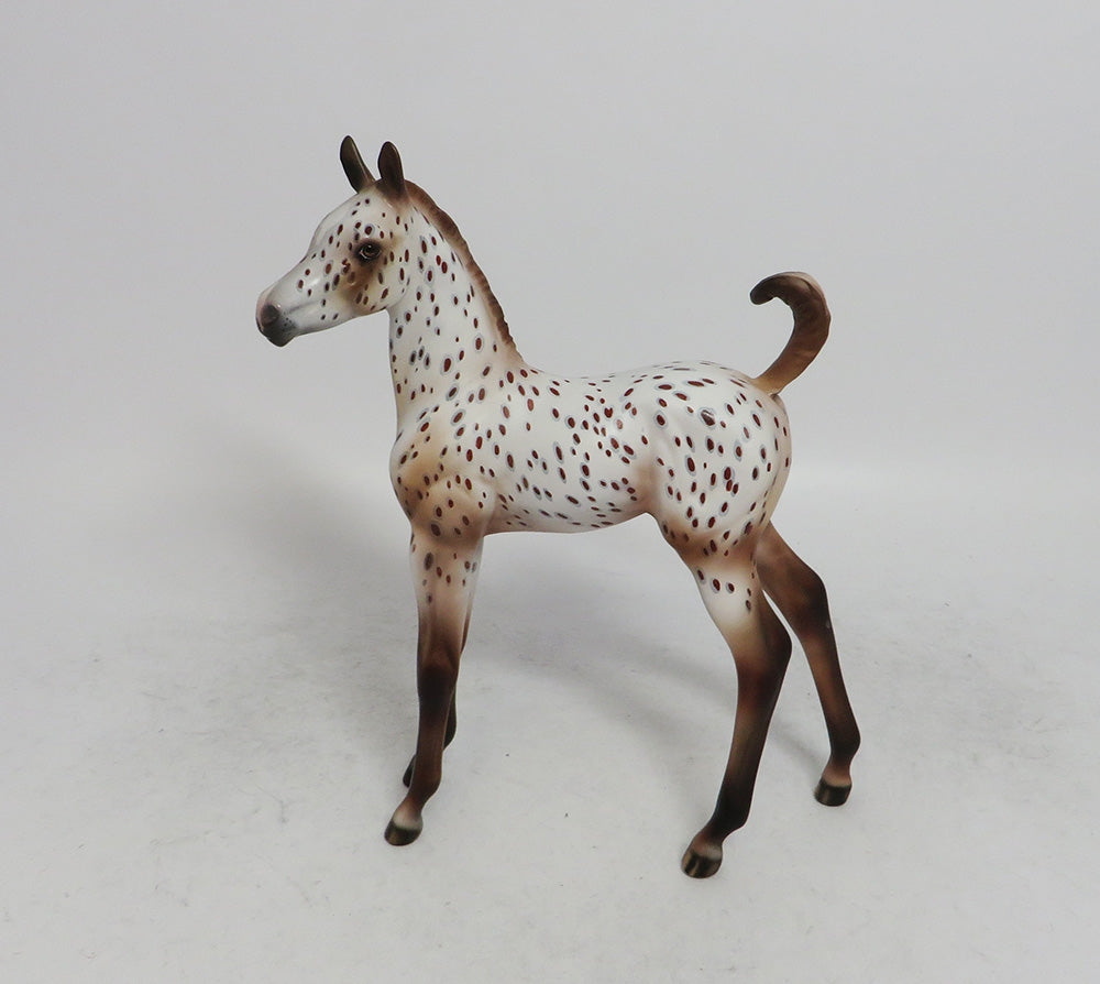 APPLE CIDER- OOAK CUSTOM ARAB CHESTNUT APPALOOSA BY JULIE KEIM WHS 2018