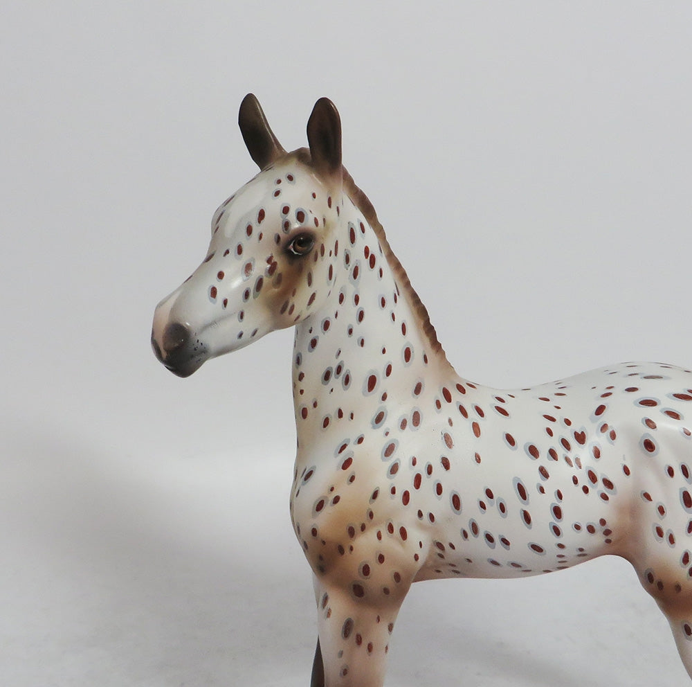 APPLE CIDER- OOAK CUSTOM ARAB CHESTNUT APPALOOSA BY JULIE KEIM WHS 2018