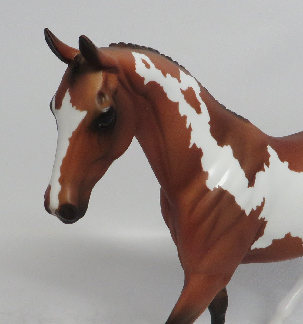 GREAT LAKES - OOAK BAY PINTO PONY MODEL HORSE SHCF2018