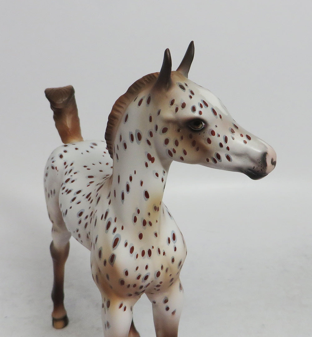 APPLE CIDER- OOAK CUSTOM ARAB CHESTNUT APPALOOSA BY JULIE KEIM WHS 2018