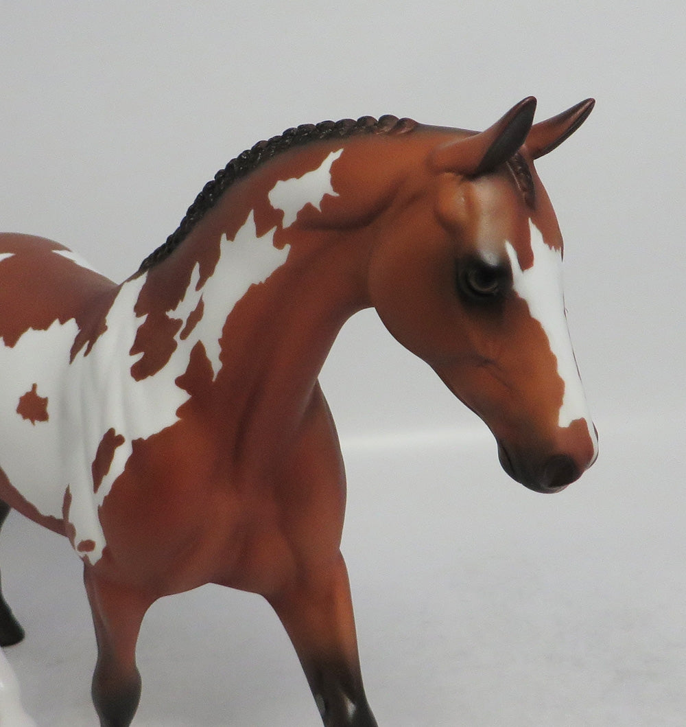 GREAT LAKES - OOAK BAY PINTO PONY MODEL HORSE SHCF2018