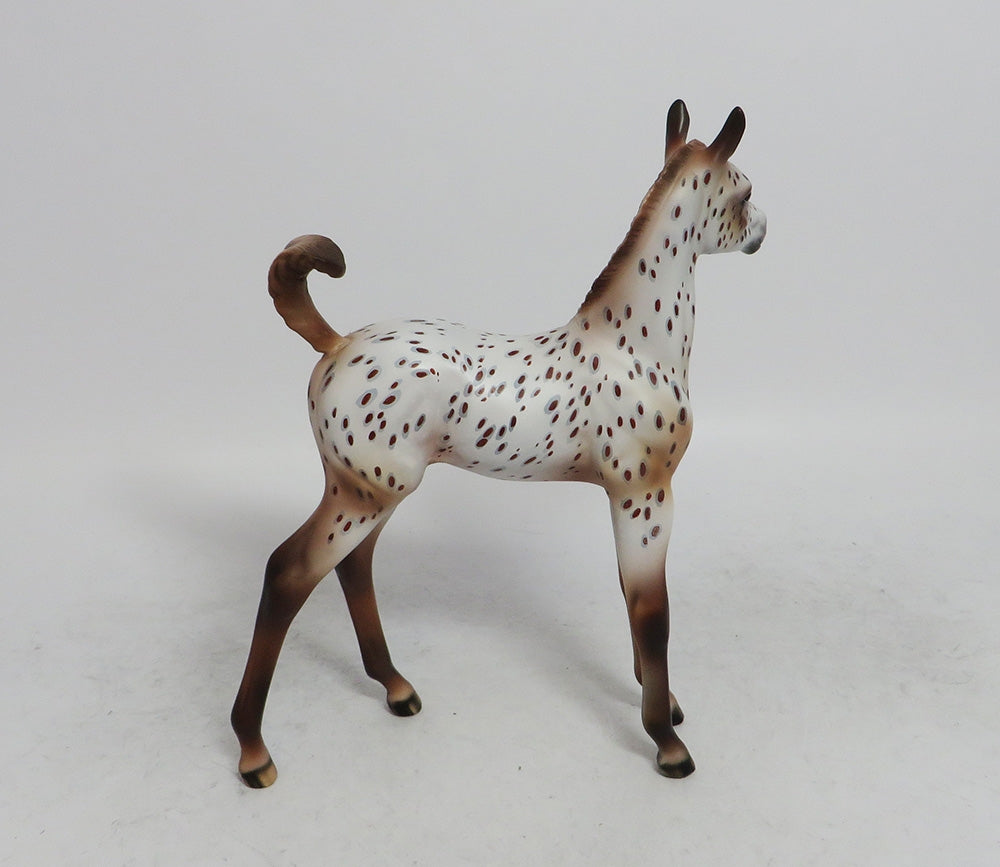 APPLE CIDER- OOAK CUSTOM ARAB CHESTNUT APPALOOSA BY JULIE KEIM WHS 2018