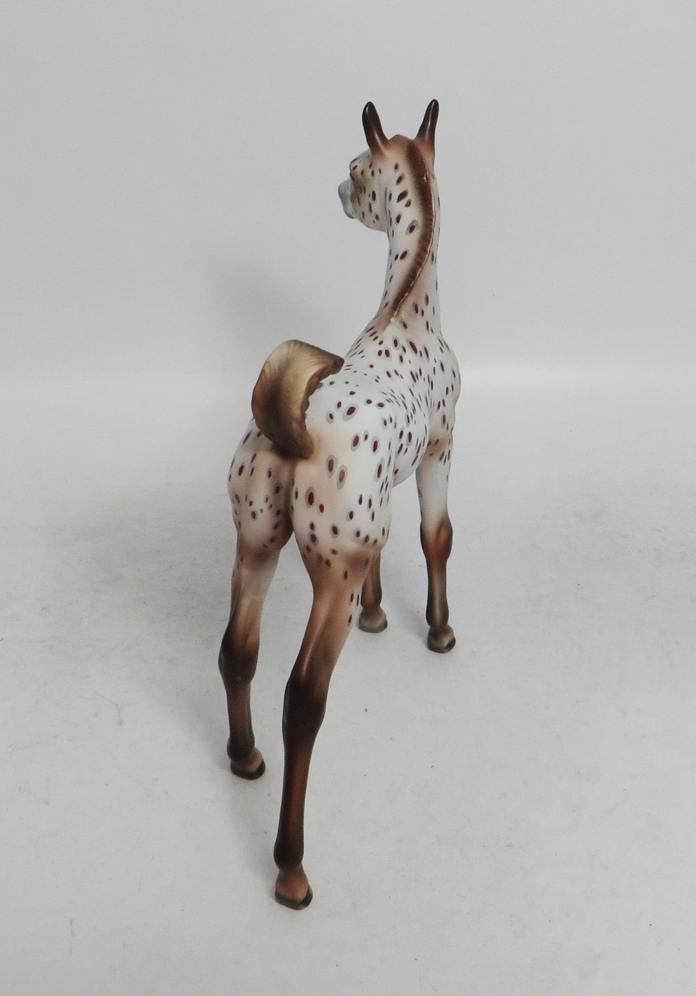 APPLE CIDER- OOAK CUSTOM ARAB CHESTNUT APPALOOSA BY JULIE KEIM WHS 2018