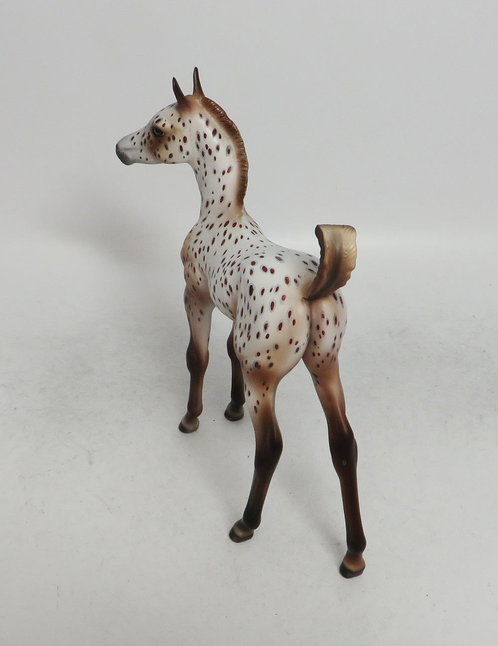 APPLE CIDER- OOAK CUSTOM ARAB CHESTNUT APPALOOSA BY JULIE KEIM WHS 2018