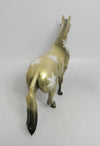 GOLDEN-OOAK SF PONY MODEL WHS BY AMANDA