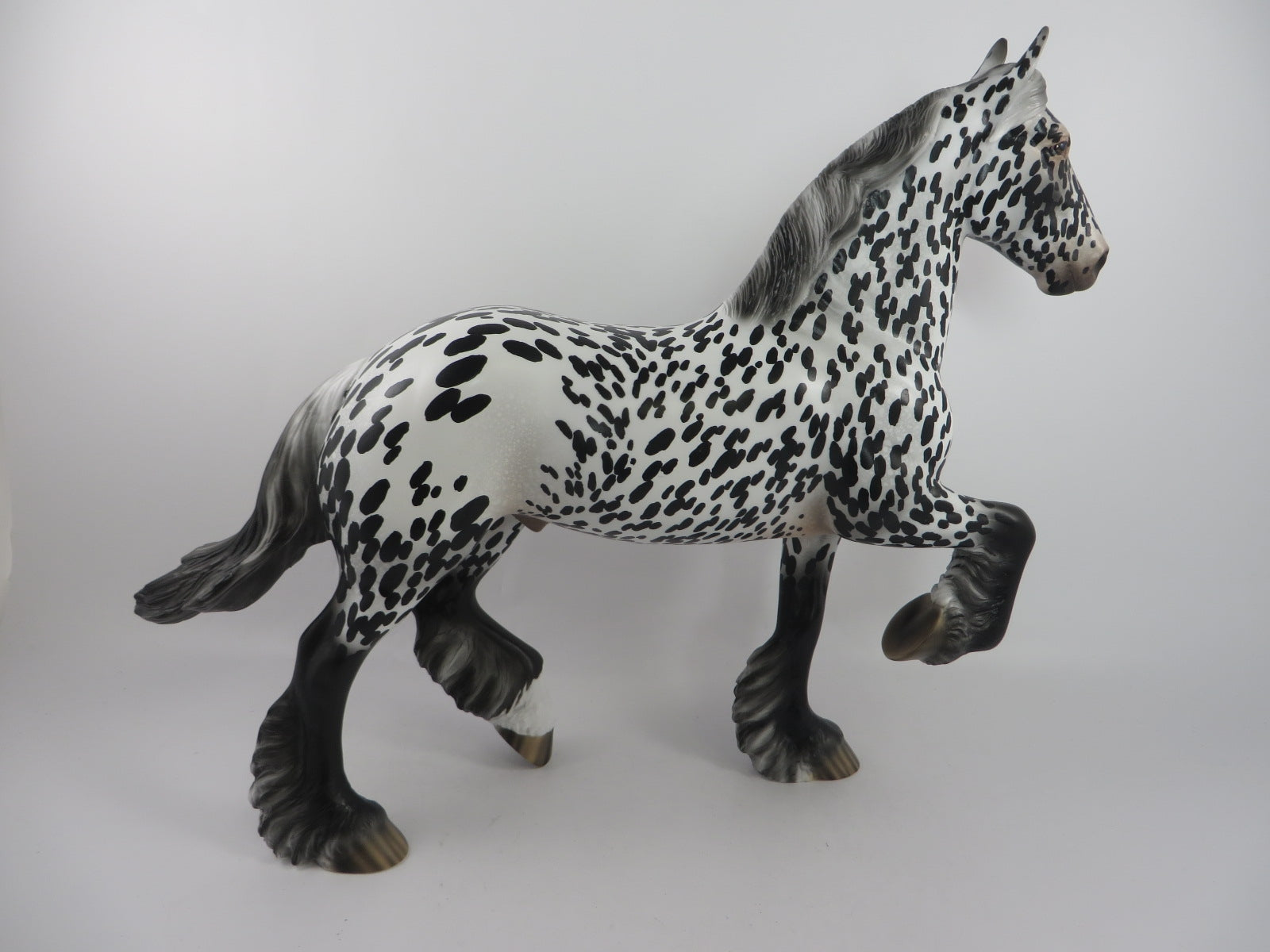 FOO FIGHTER - OOAK LEOPARD APPALOOSA TROTTING DRAFTER BY AUDREY DIXON PJ20