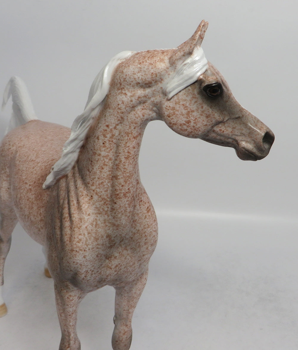MORNING GLORY - OOAK FLEA BITTEN GREY ARABIAN MODEL HORSE MW2018