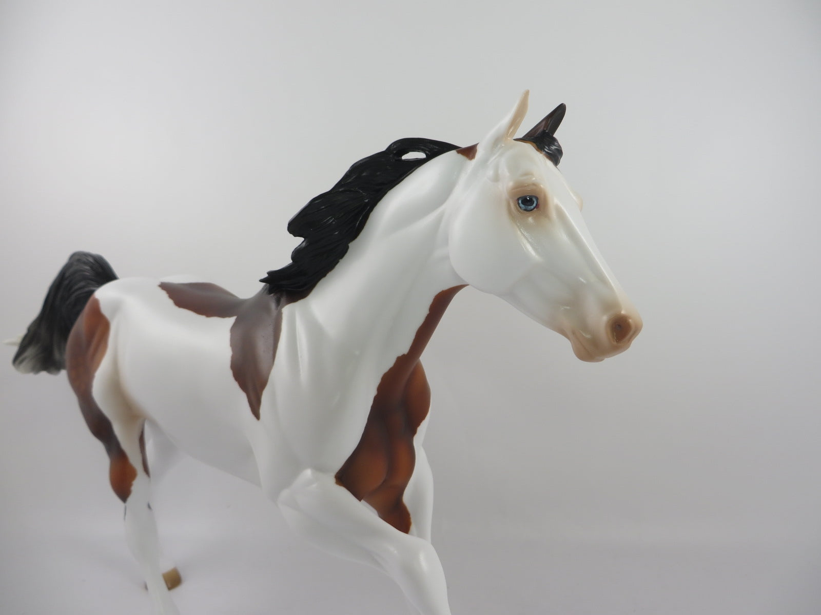 LIKE A CHAMPION - OOAK DAPPLE BAY PINTO FOUNDATION QUARTER HORSE WITH PEG BY AUDREY DIXON SB20