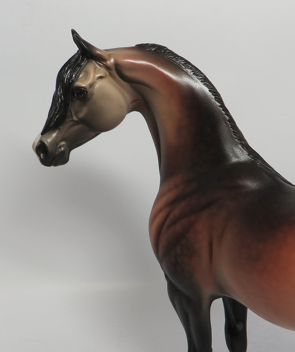 STORM BREAKER - OOAK DAPPLE BAY ARABIAN MODEL HORSE MW2018