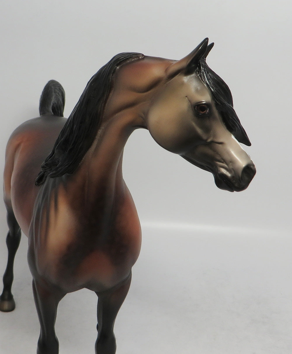 STORM BREAKER - OOAK DAPPLE BAY ARABIAN MODEL HORSE MW2018
