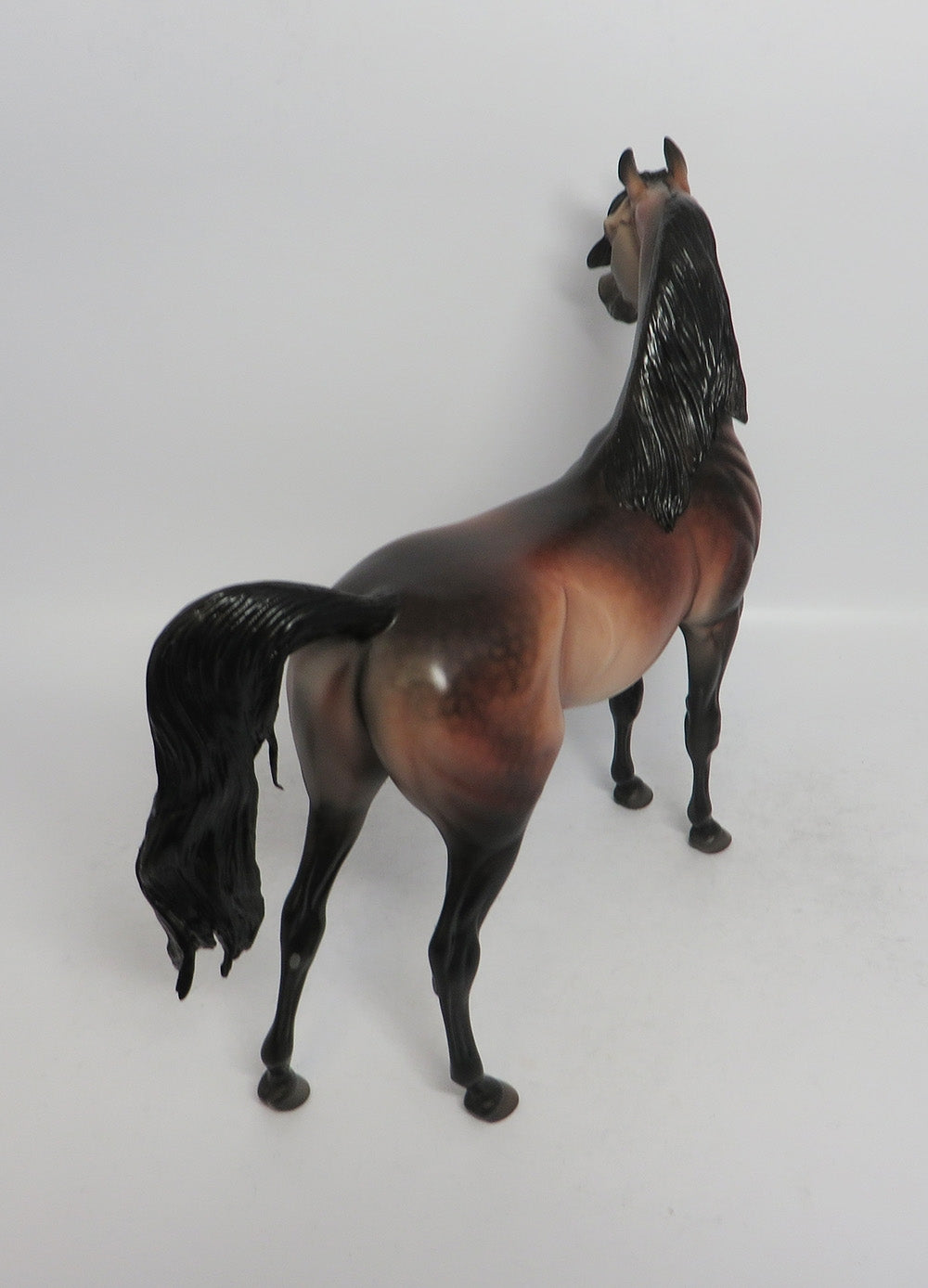 STORM BREAKER - OOAK DAPPLE BAY ARABIAN MODEL HORSE MW2018