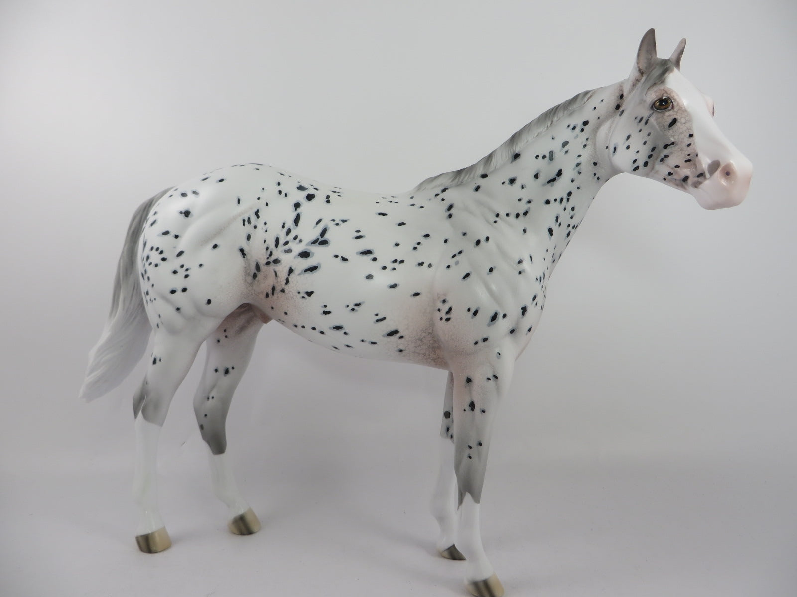 SAXON - OOAK APPALOOSA ISH BY DAWN QUICK PJ 20