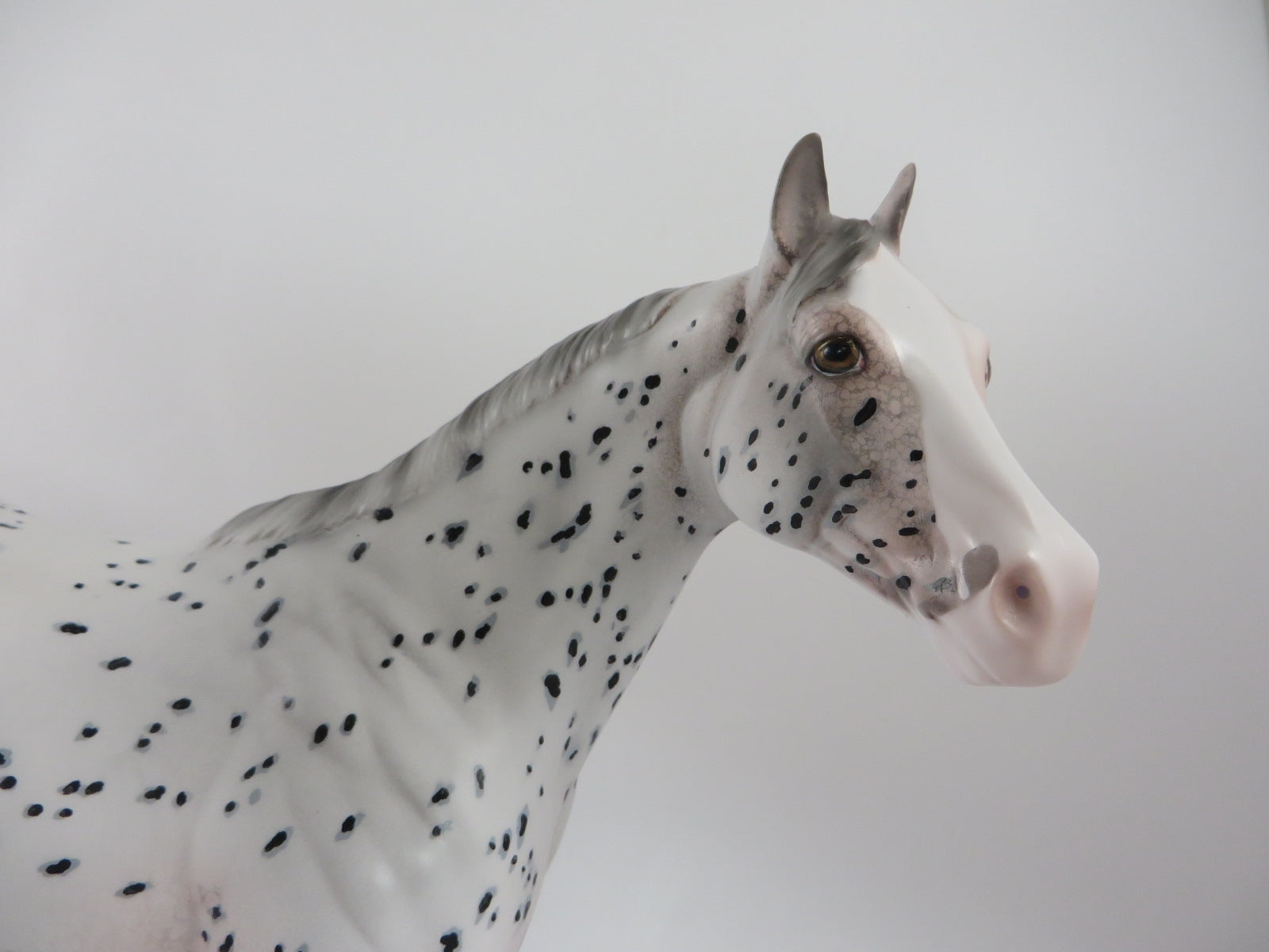 SAXON - OOAK APPALOOSA ISH BY DAWN QUICK PJ 20