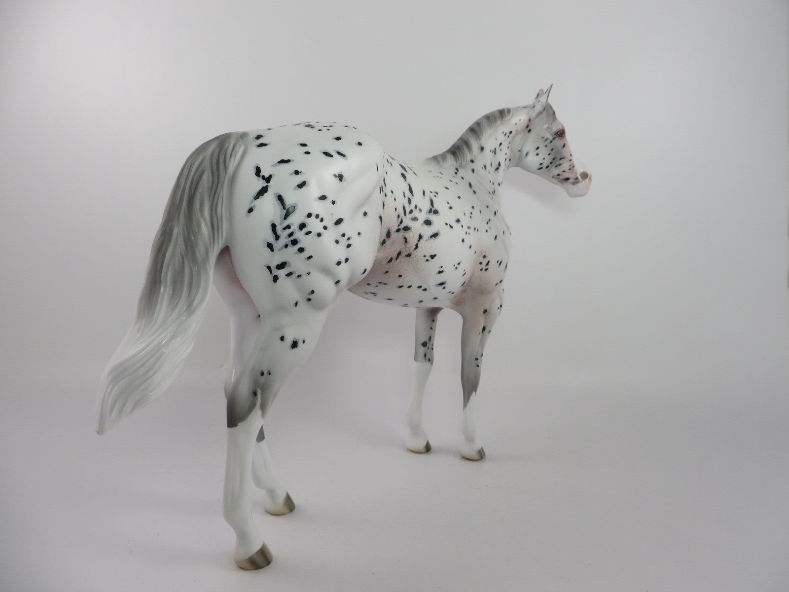 SAXON - OOAK APPALOOSA ISH BY DAWN QUICK PJ 20