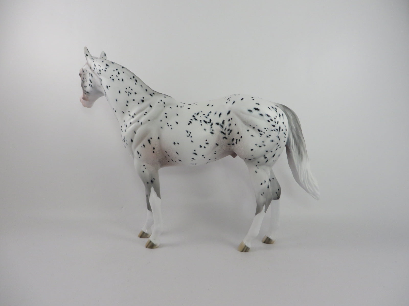 SAXON - OOAK APPALOOSA ISH BY DAWN QUICK PJ 20