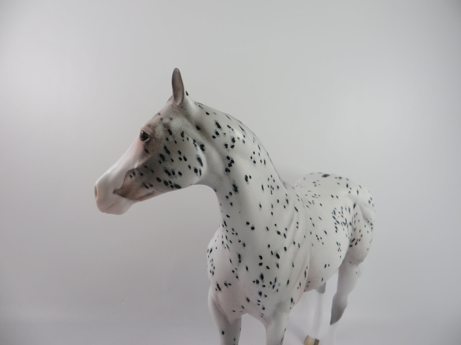 SAXON - OOAK APPALOOSA ISH BY DAWN QUICK PJ 20