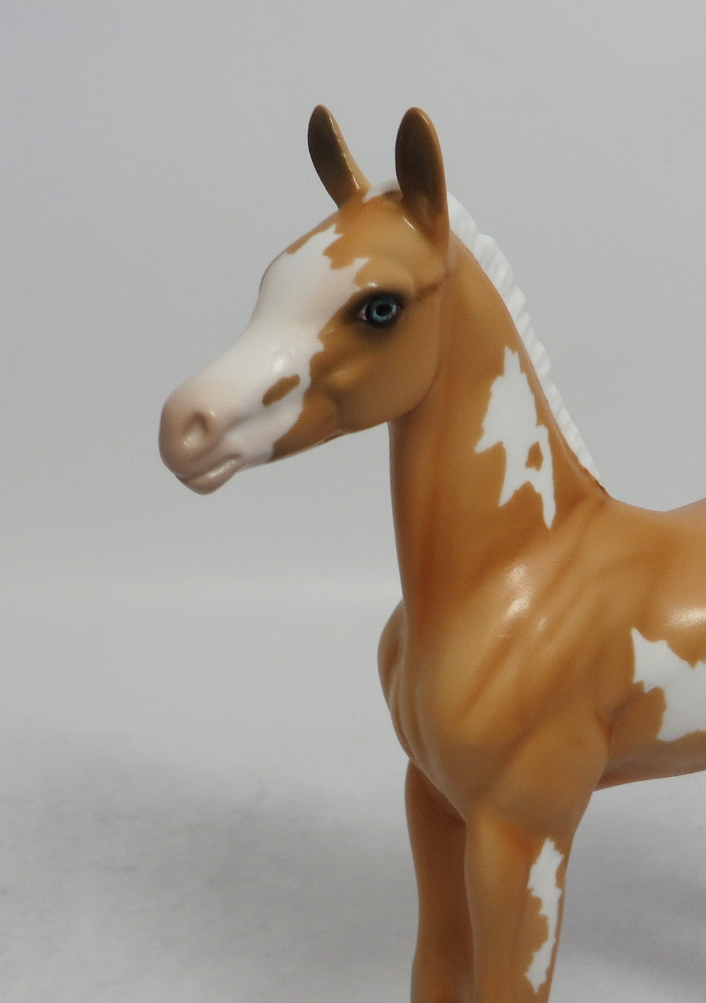 SUNNY - LE8 PINTO PALOMINO FOAL  MODEL HORSE SHCF2018