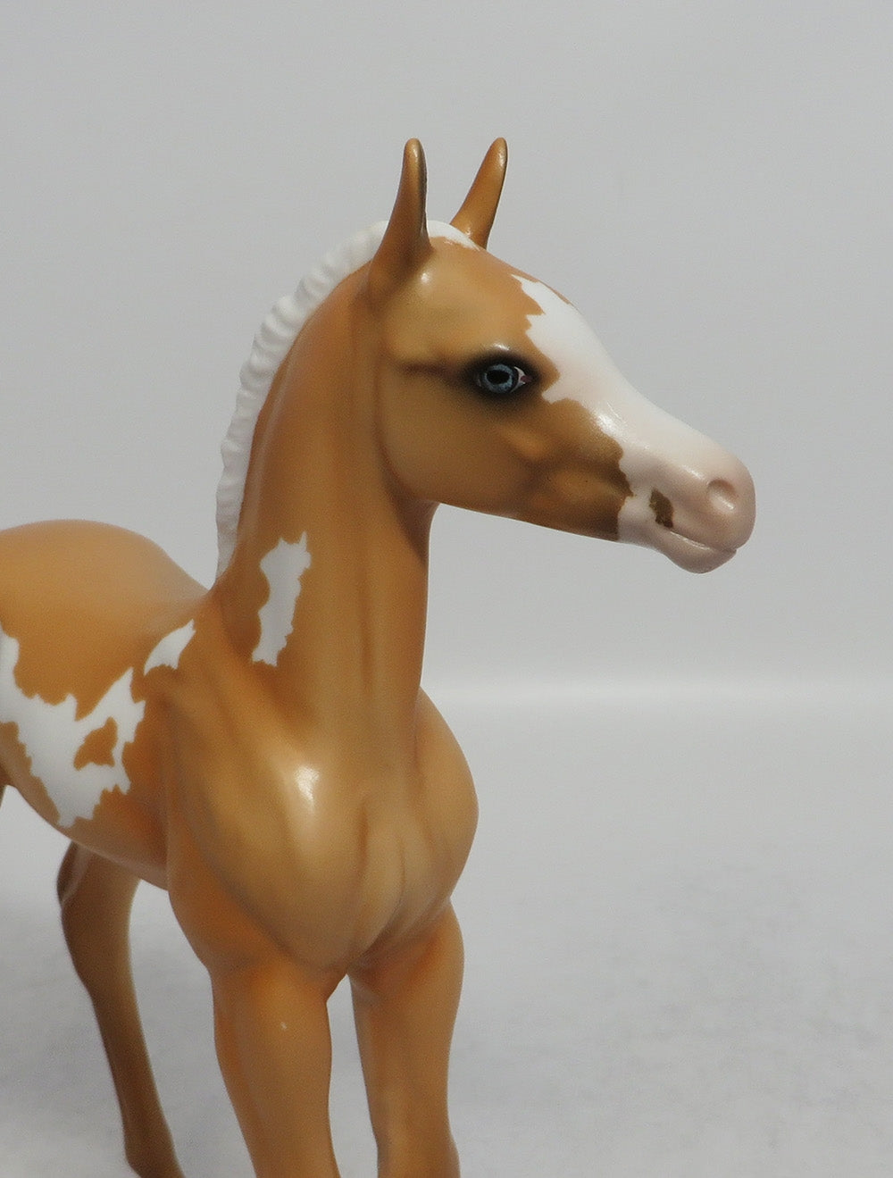 SUNNY - LE8 PINTO PALOMINO FOAL  MODEL HORSE SHCF2018