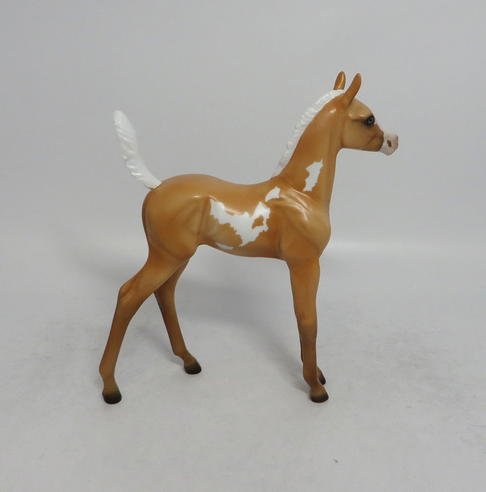 SUNNY - LE8 PINTO PALOMINO FOAL  MODEL HORSE SHCF2018