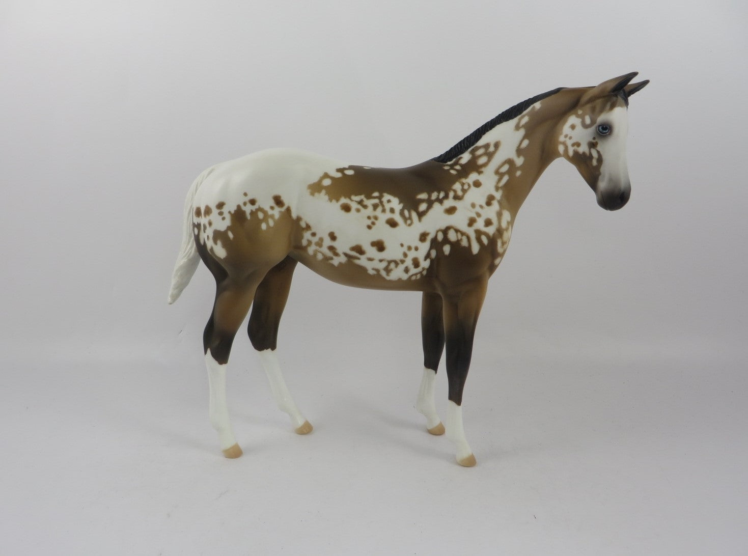 POP GOES THE PARTY -OOAK SOOTY BUCKSKIN APPALOOSA WEANLING MODEL HORSE BY AL KATT PJ20