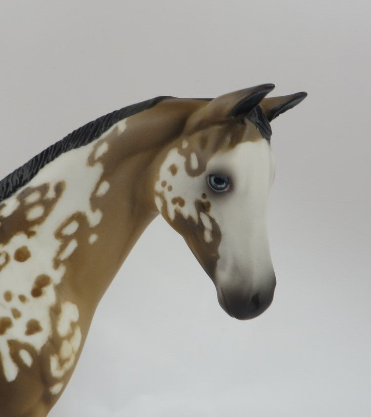 POP GOES THE PARTY -OOAK SOOTY BUCKSKIN APPALOOSA WEANLING MODEL HORSE BY AL KATT PJ20