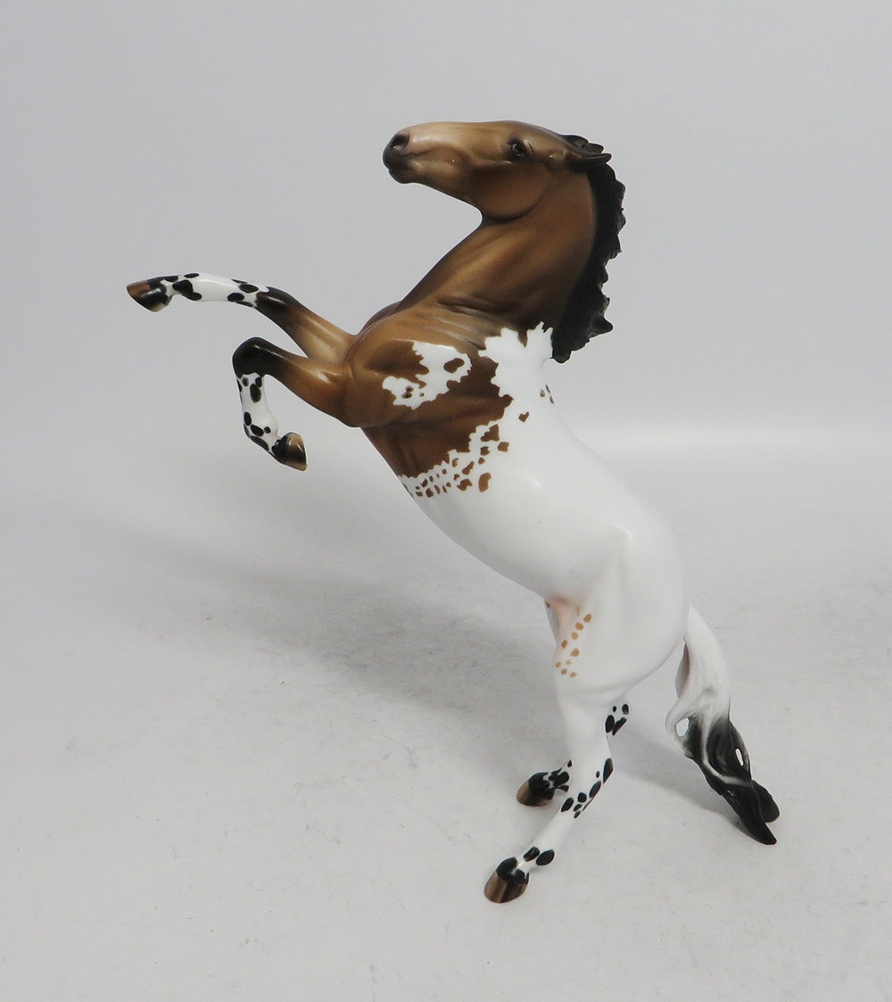 CHRISTMAS WISH-LE-4 REARING PEBBLES BUCKSKIN APPALOOSA BY JULIE KEIM WHS 2018