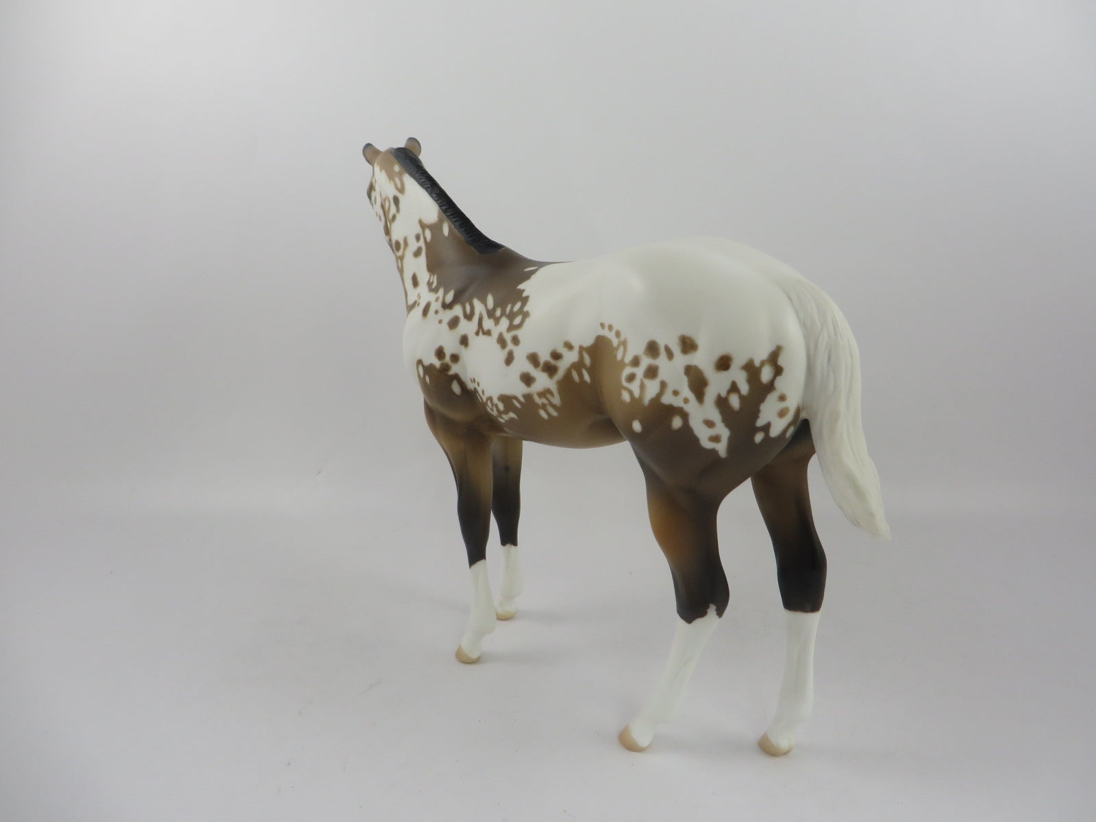 POP GOES THE PARTY -OOAK SOOTY BUCKSKIN APPALOOSA WEANLING MODEL HORSE BY AL KATT PJ20