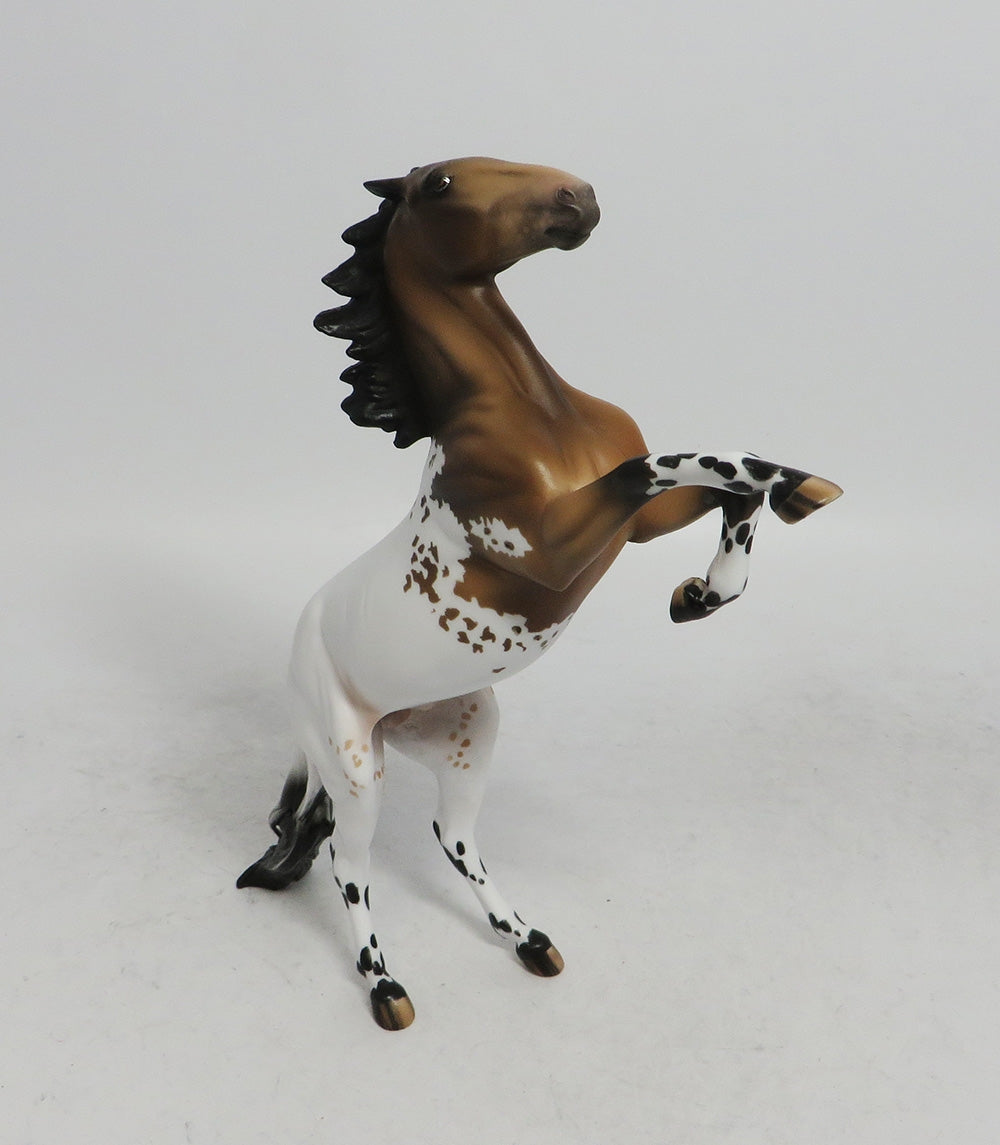CHRISTMAS WISH-LE-4 REARING PEBBLES BUCKSKIN APPALOOSA BY JULIE KEIM WHS 2018