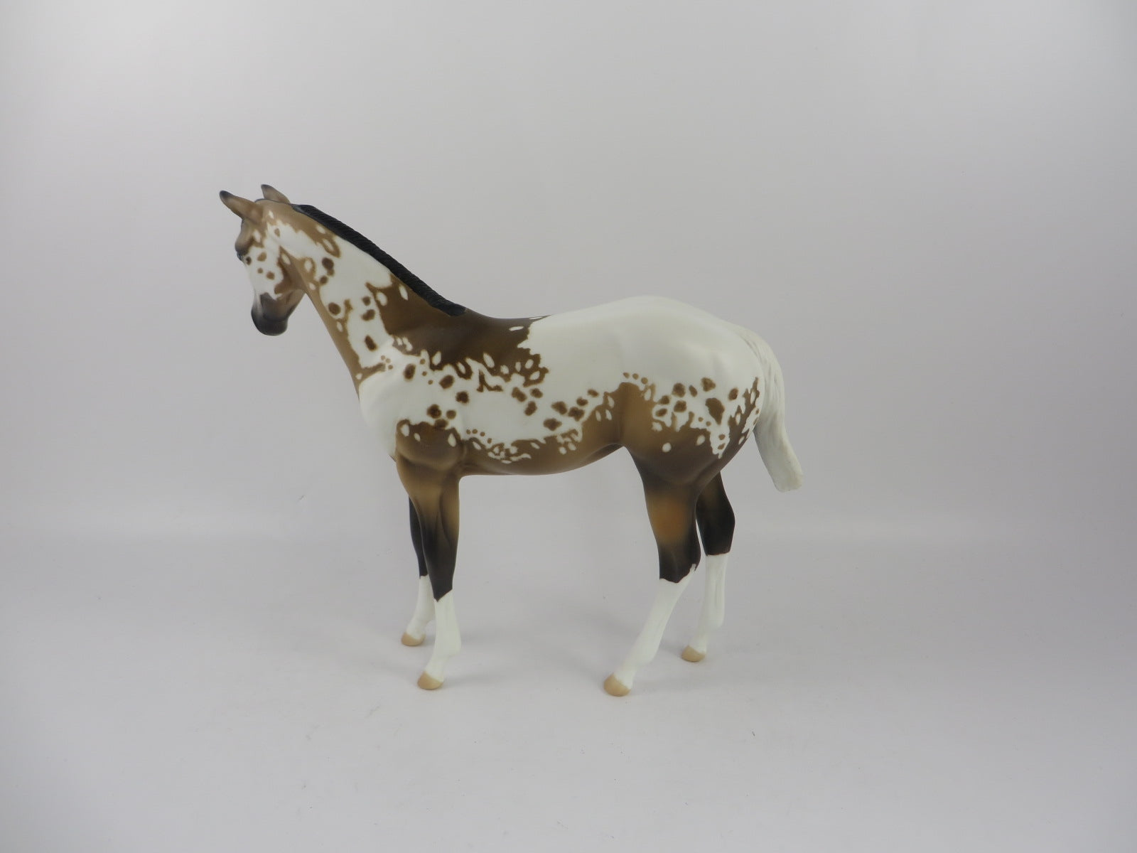 POP GOES THE PARTY -OOAK SOOTY BUCKSKIN APPALOOSA WEANLING MODEL HORSE BY AL KATT PJ20