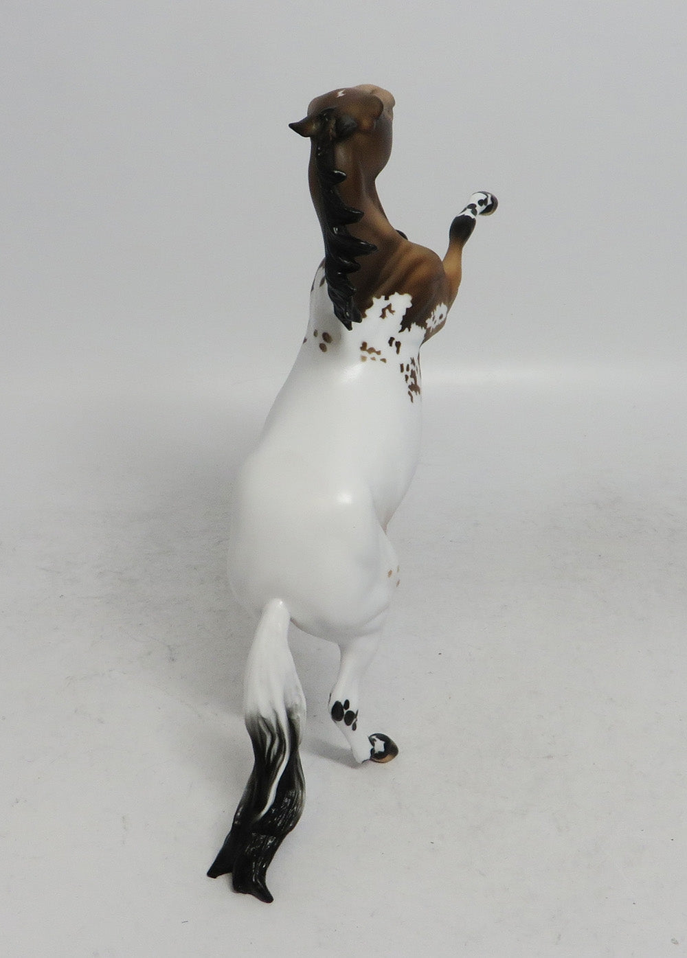 CHRISTMAS WISH-LE-4 REARING PEBBLES BUCKSKIN APPALOOSA BY JULIE KEIM WHS 2018