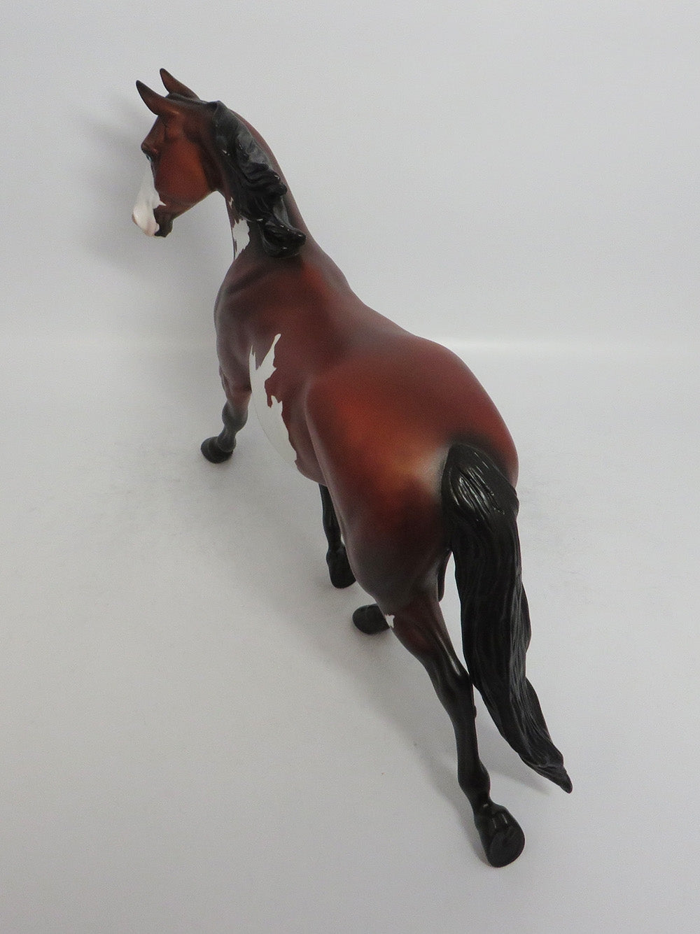 PENNYWISE - LE5 DAPPLE BAY PINTO PALOUSE MODEL HORSE SHCF2018