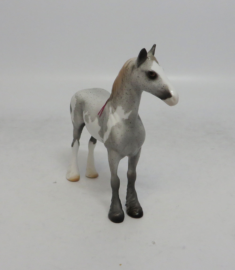 JEWELS - OOAK FLEA BITTEN GREY PINTO DRAFT CHIP MW2018