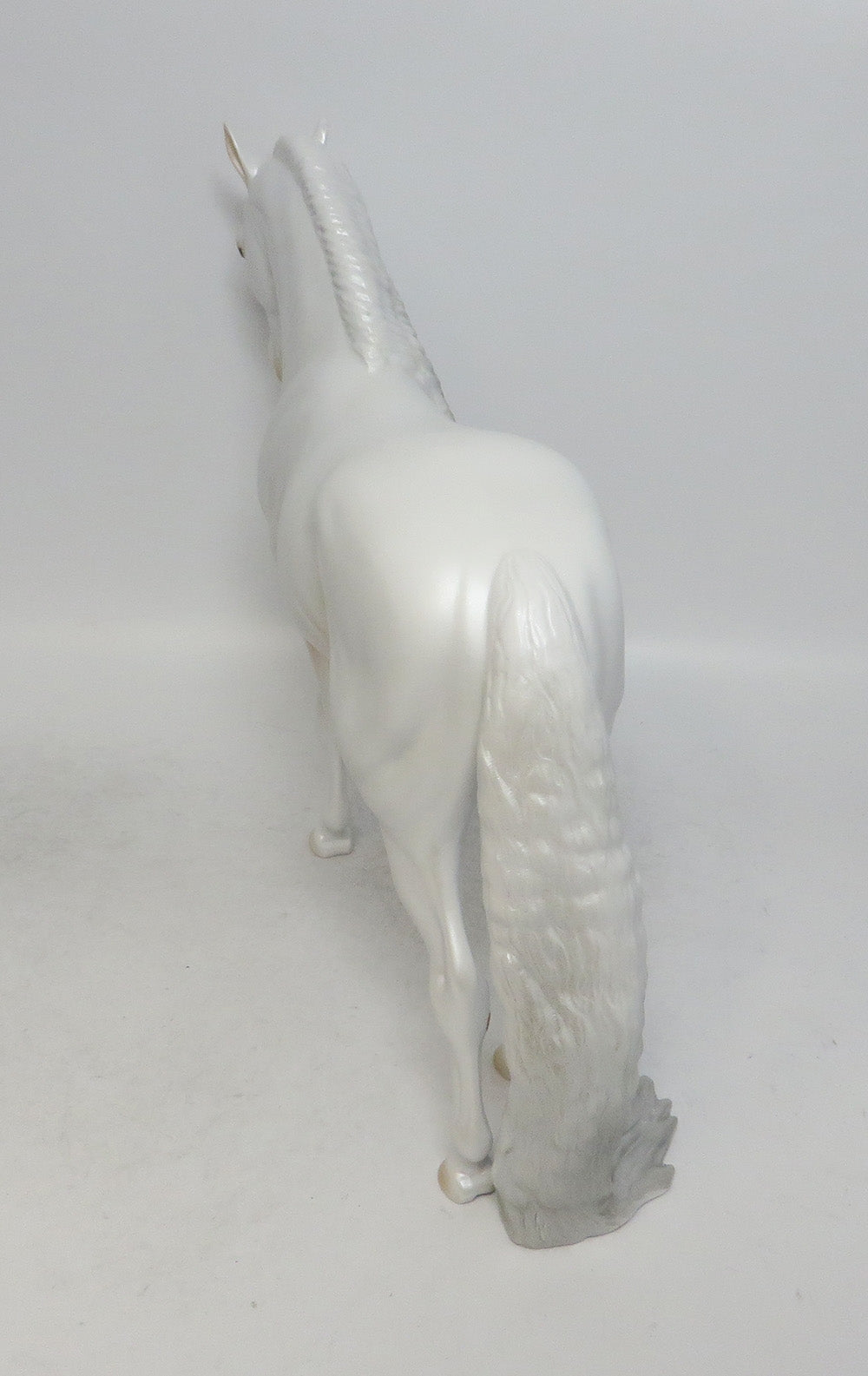 SNOW WHITE- LE 15 PEARLY WHITE CUSTOM MARE  ANSUALSIAN BY AMANDA WHS 2018