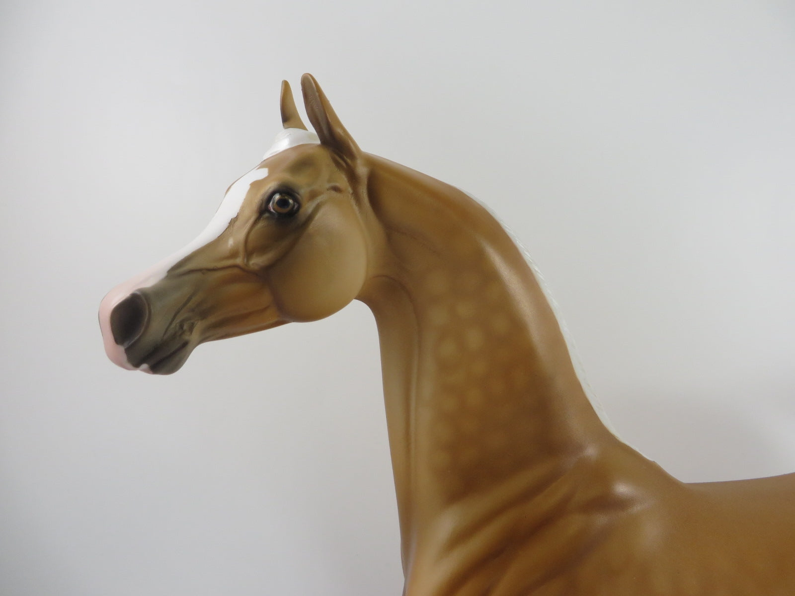 LIVING THE DREAM - OOAK DAPPLE PALAMINO ARABIAN MODEL HORSE BY DAWN QUICK PJ20