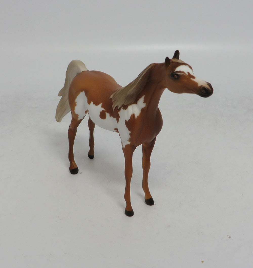 NEVADA SUNRISE - OOAK CHESTNUT PINTO ARABIAN CHIP MW2018