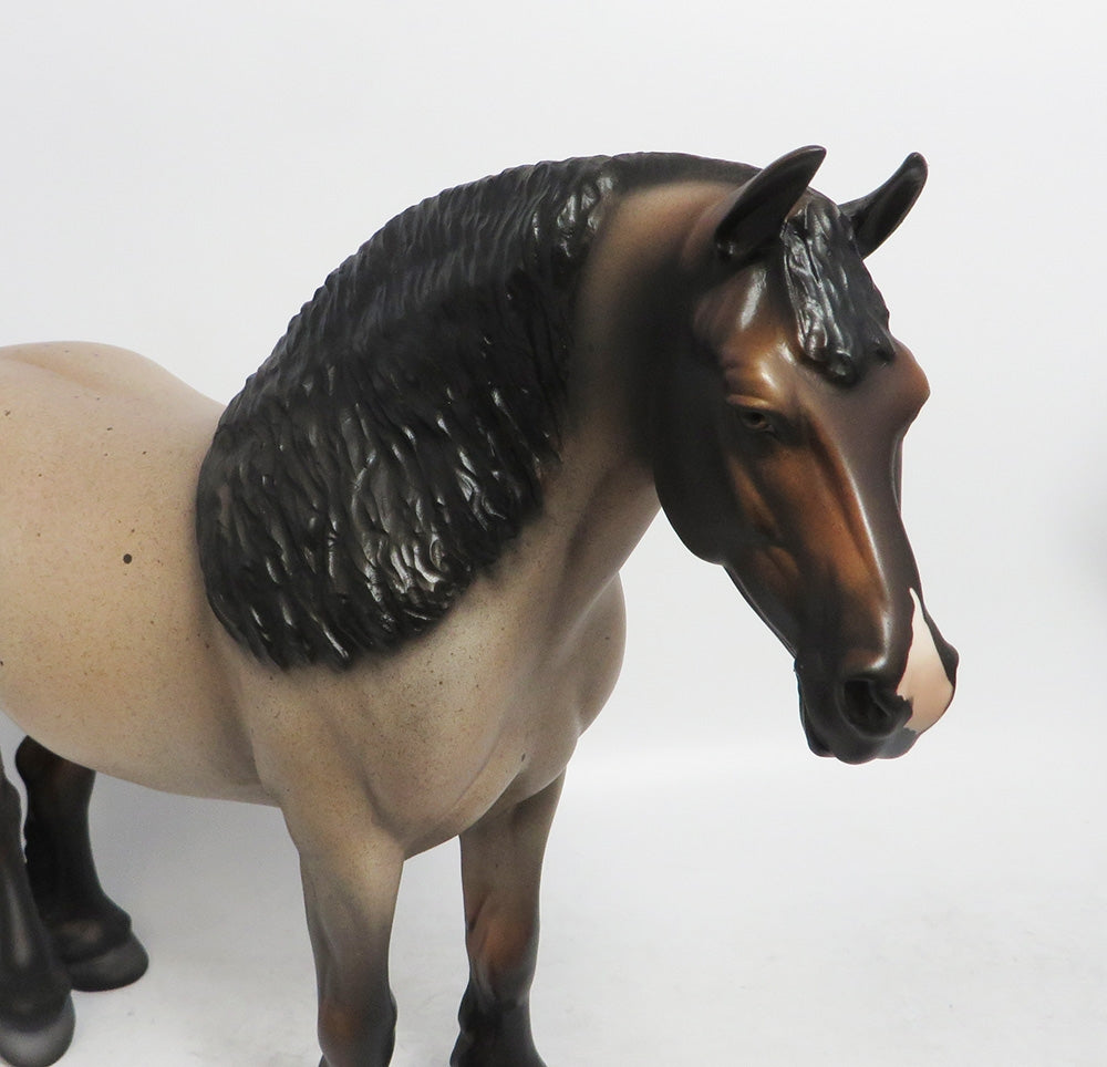 EVE- LE- 15  HEAVY DARFT MARE CUSTOM BAY ROAN BY DAWN QUICK WHS 2018