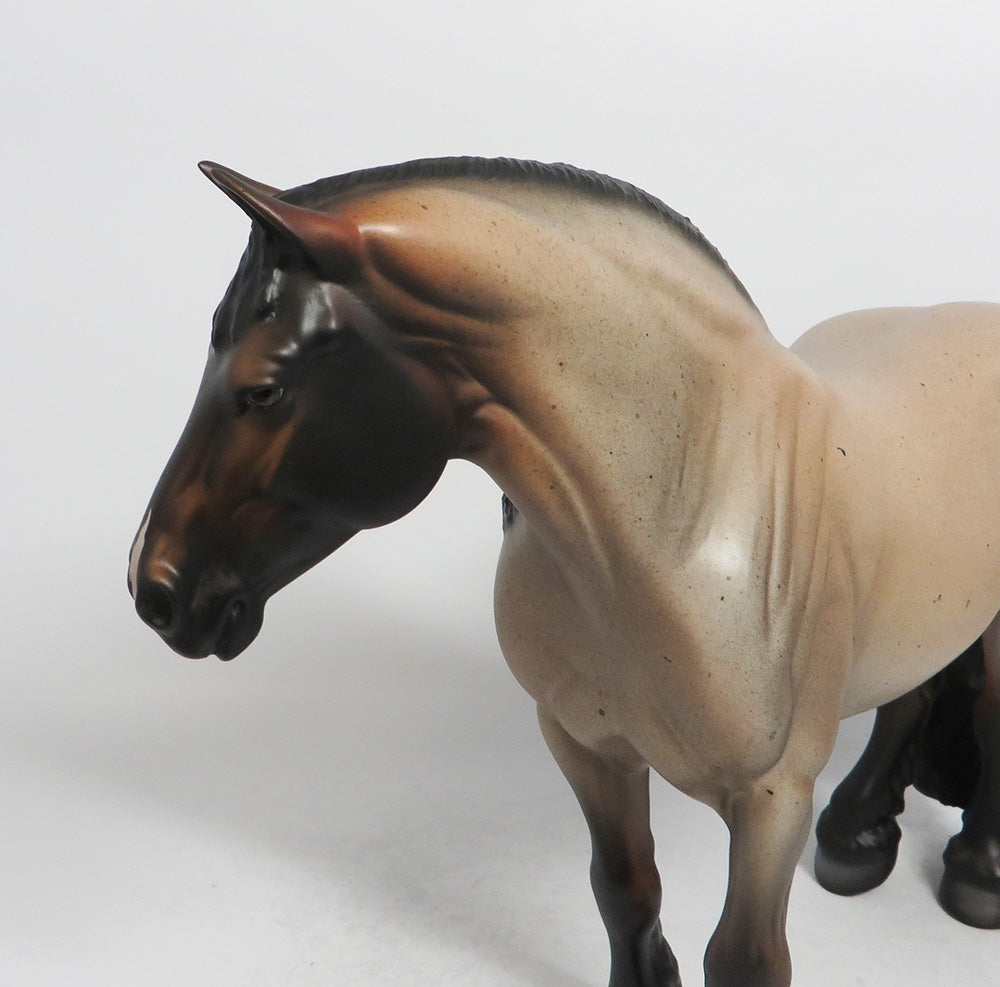 EVE- LE- 15  HEAVY DARFT MARE CUSTOM BAY ROAN BY DAWN QUICK WHS 2018